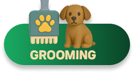 dog bath icon